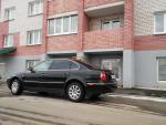 Аватар для Rapid