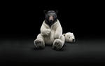 Аватар для Mop3d