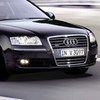 Аватар для ipKins