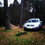 Аватар для Passatonly