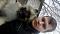 Аватар для jahont88