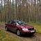 Аватар для MelGenn