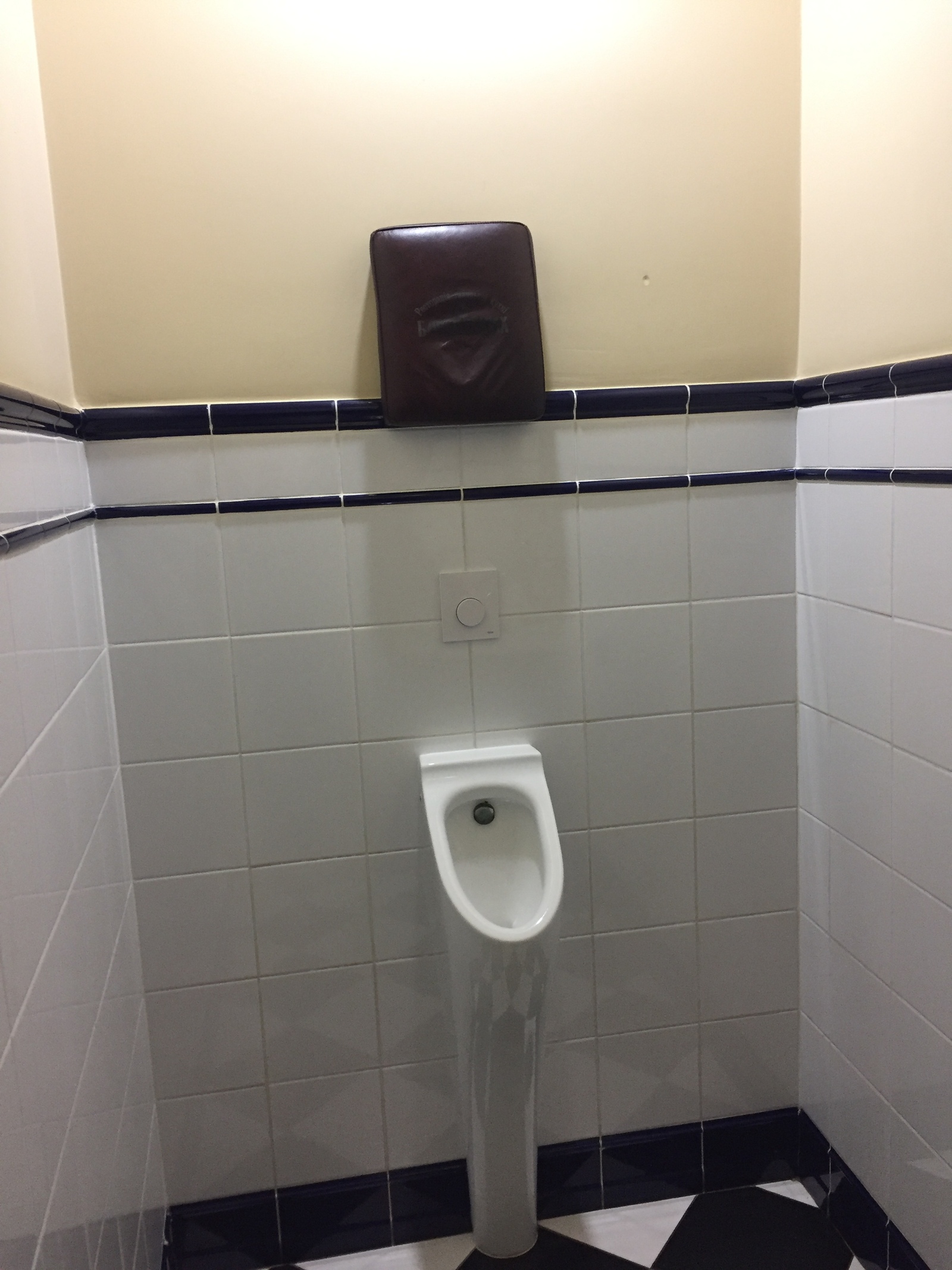 Муж туалет видео. Писсуар в туалете. Надпись над писсуаром. Подушка над писсуаром. Как в мужском туалете называется туалет.